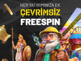 Çevrimsiz Freespin